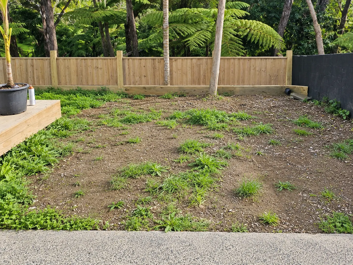 backyard concreting before